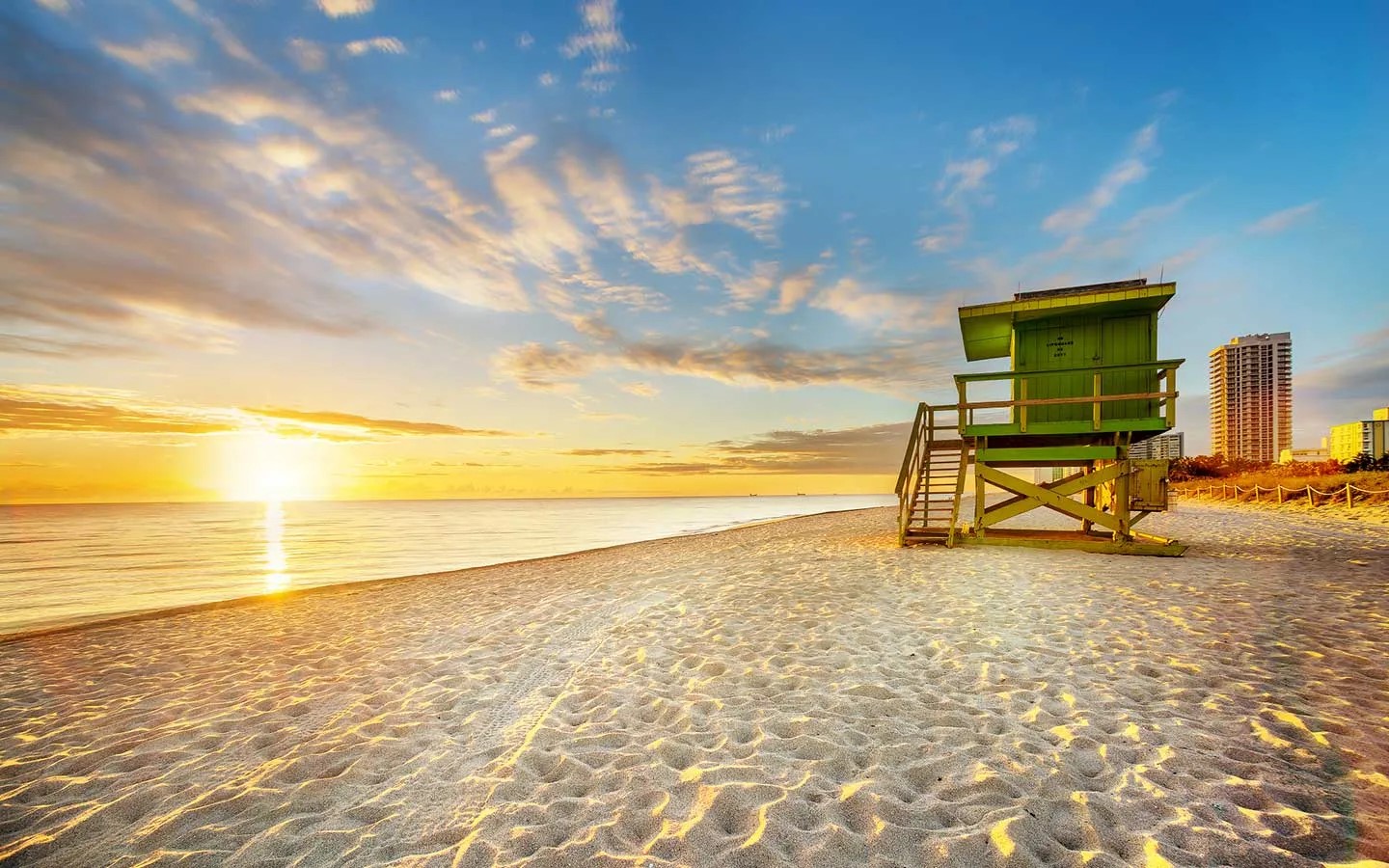 ¿Miami en verano? Recomendaciones que incluyen descuentos imperdibles
