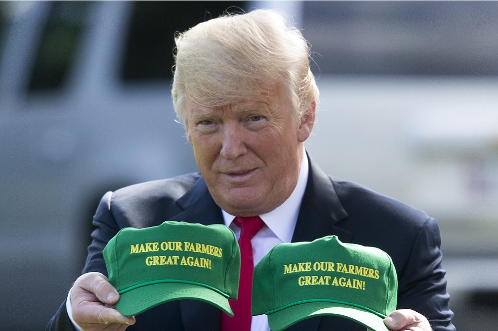 ¿Es el fortalecimiento del dólar un éxito de Trump?