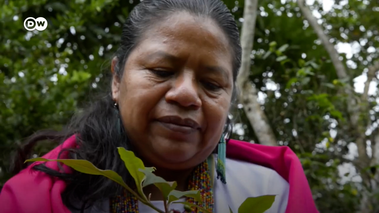 Las mujeres indígenas que preservan los saberes tradicionales en la Amazonía colombiana