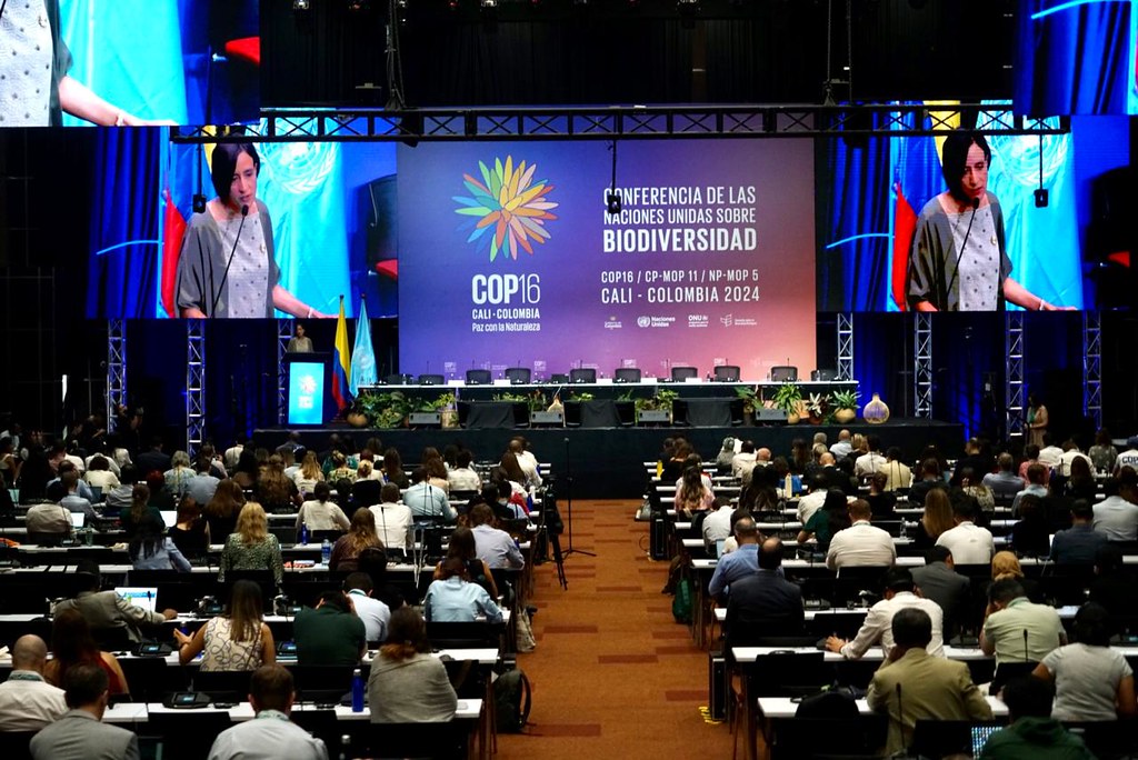 Los 5 datos que debe saber del último día de la COP16