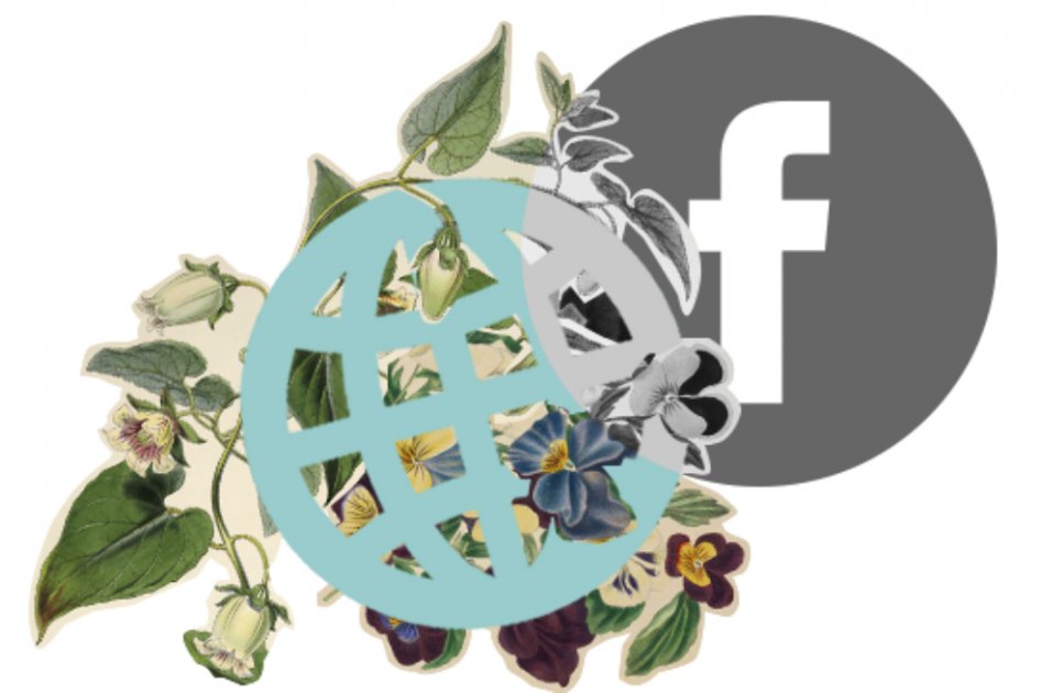 Free Basics y las batallas políticas de internet