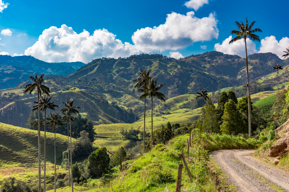 6 destinos de altura imperdibles en Colombia para visitar