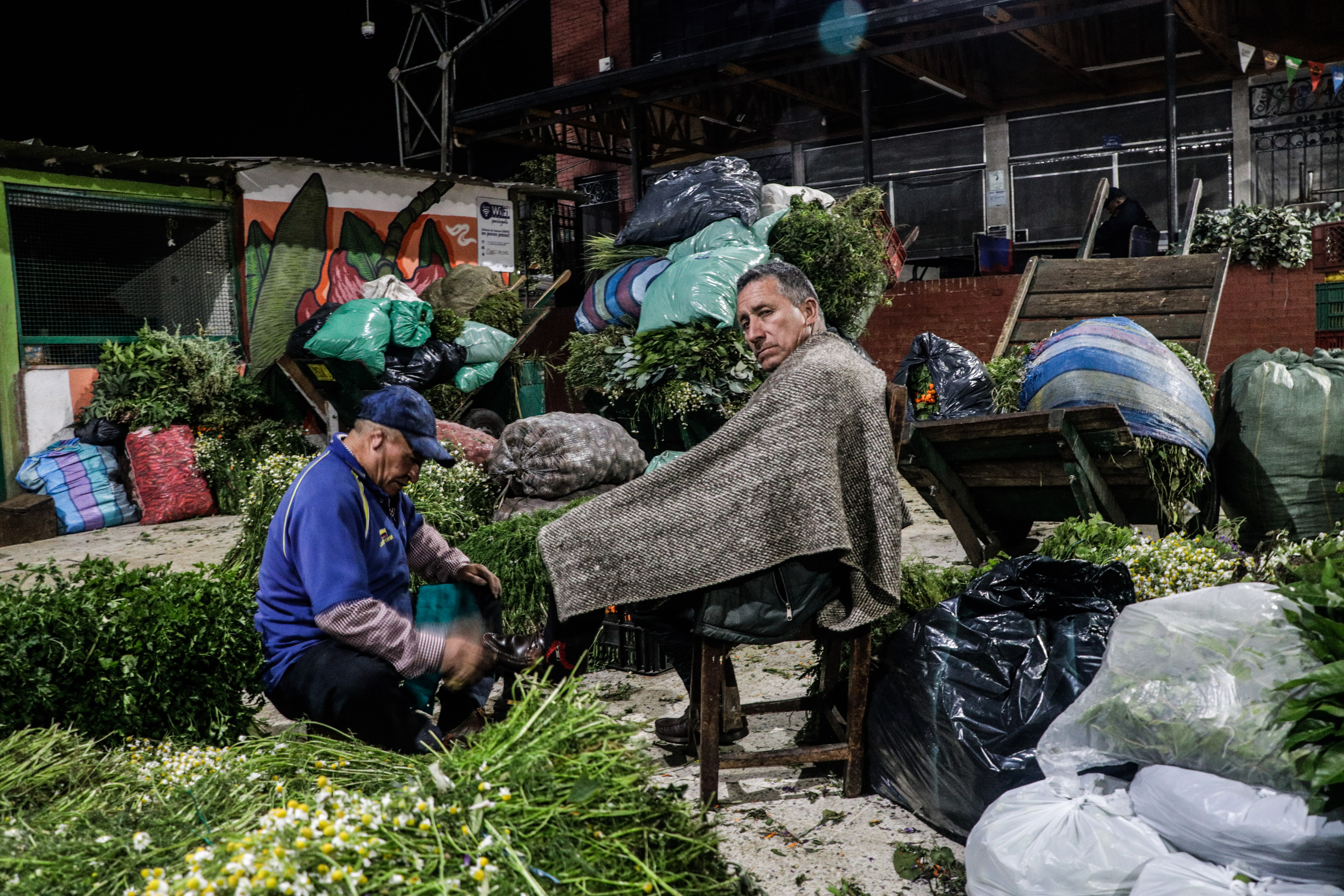 En fotos: Entre hierbas y hoja de plátano, vive la plaza Samper Mendoza cuando Bogotá duerme