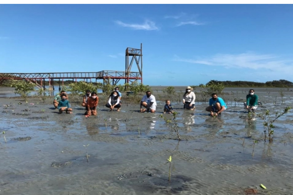 En Brasil plantarán árboles para homenajear a las 200 mil víctimas del COVID-19