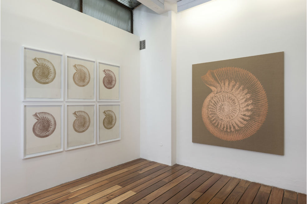 “Ammonites humpresianus”, la exposición de Miguel Böhmer en SN maCarena