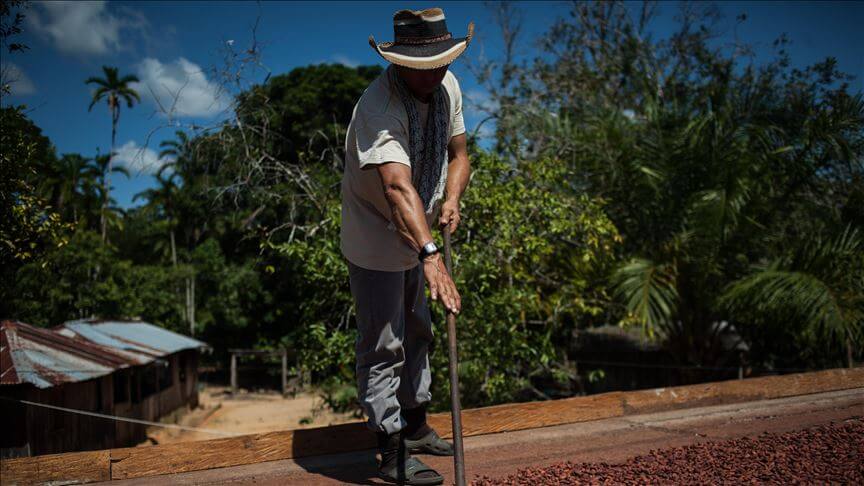 Cultivadores de coca temen que programas de erradicación les lleven el coronavirus