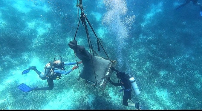 Primer museo submarino de Sudamérica: una propuesta para preservar los arrecifes