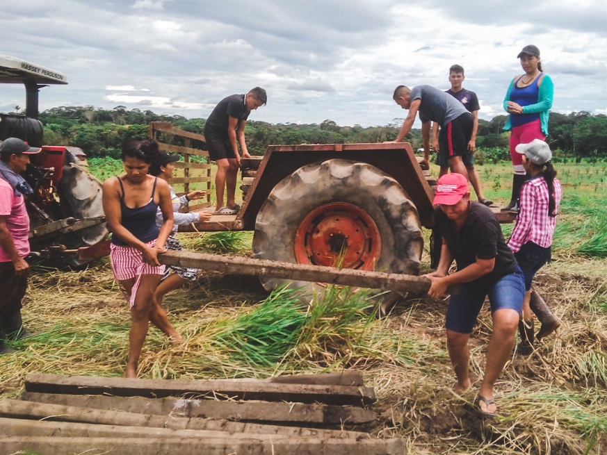 Una ‘vaki’ para apoyar proyectos productivos de exguerrilleros en Guaviare