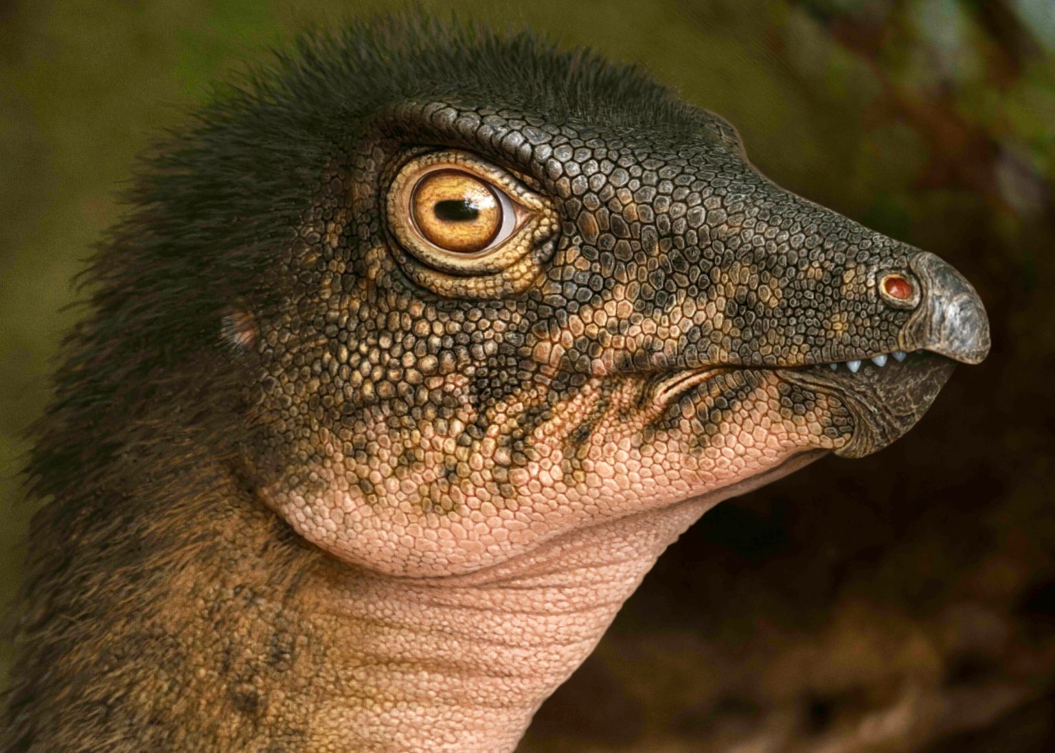 Encuentran un fósil de dinosaurio debajo del parqueadero de un museo