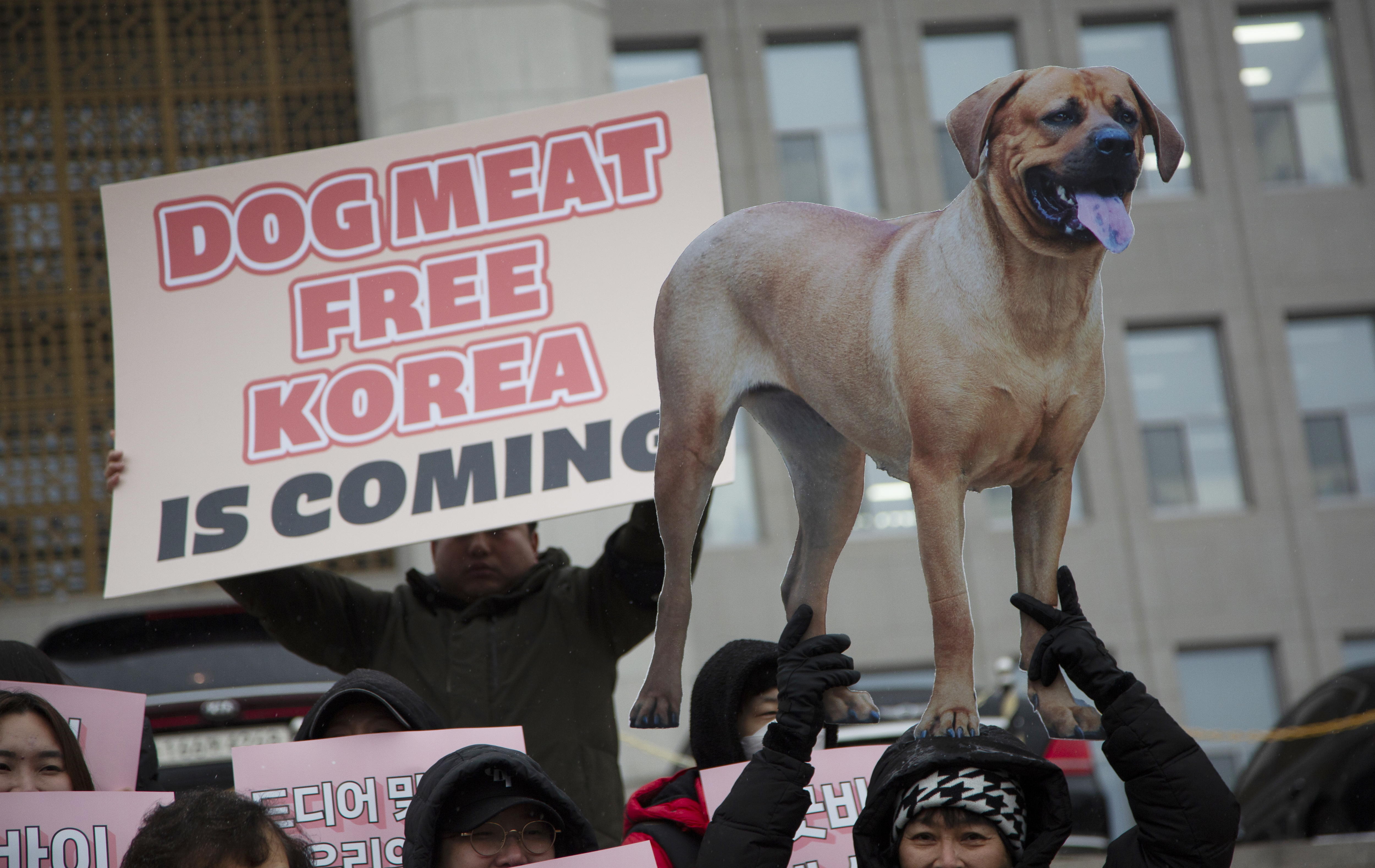 ¿En qué países es común el consumo de carne de perro?
