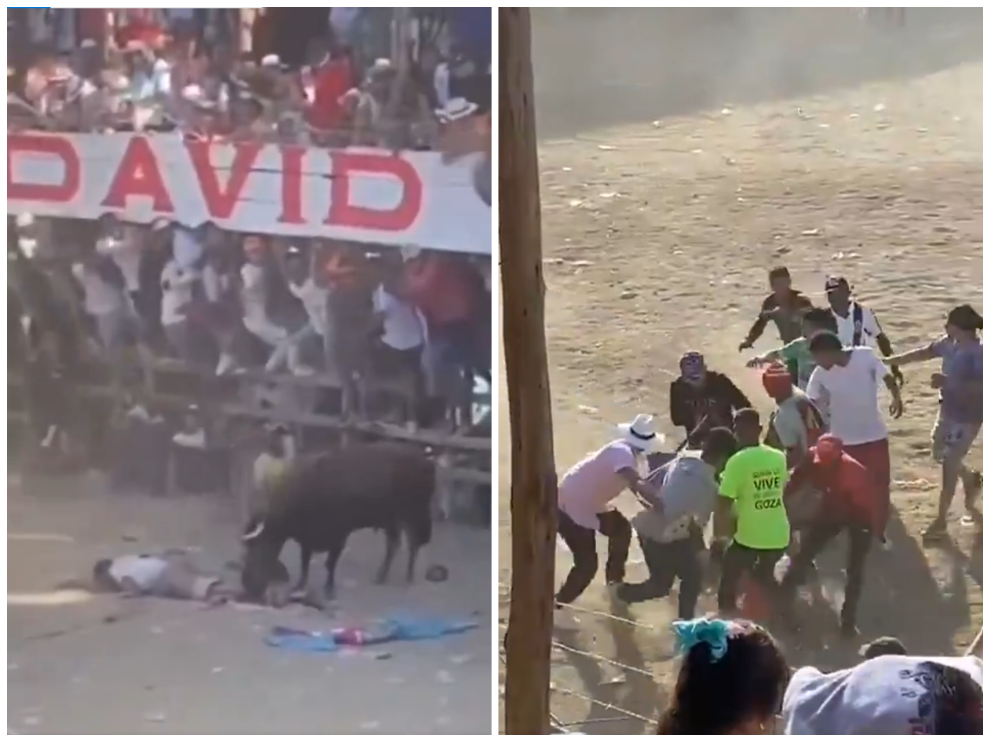 Video: murió joven que fue embestido por toro en corralejas en Zambrano, Bolívar