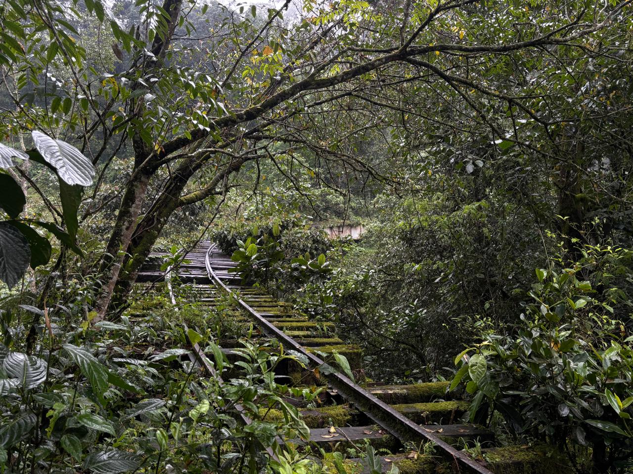 Caminata entre montañas y rieles: la vía férrea de Sasaima le espera