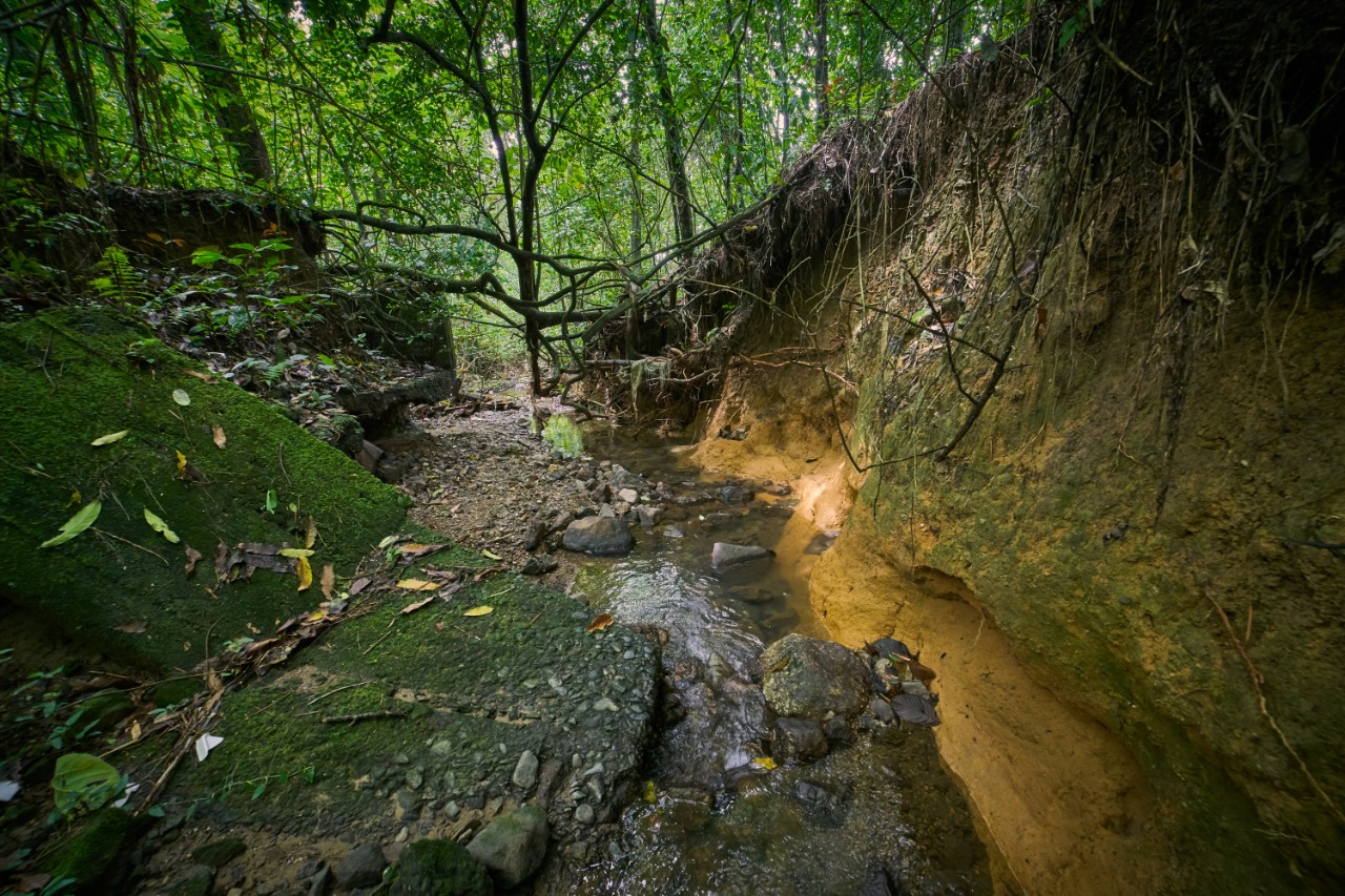 Villavicencio tendrá uno de los parques verdes más grandes de Colombia
