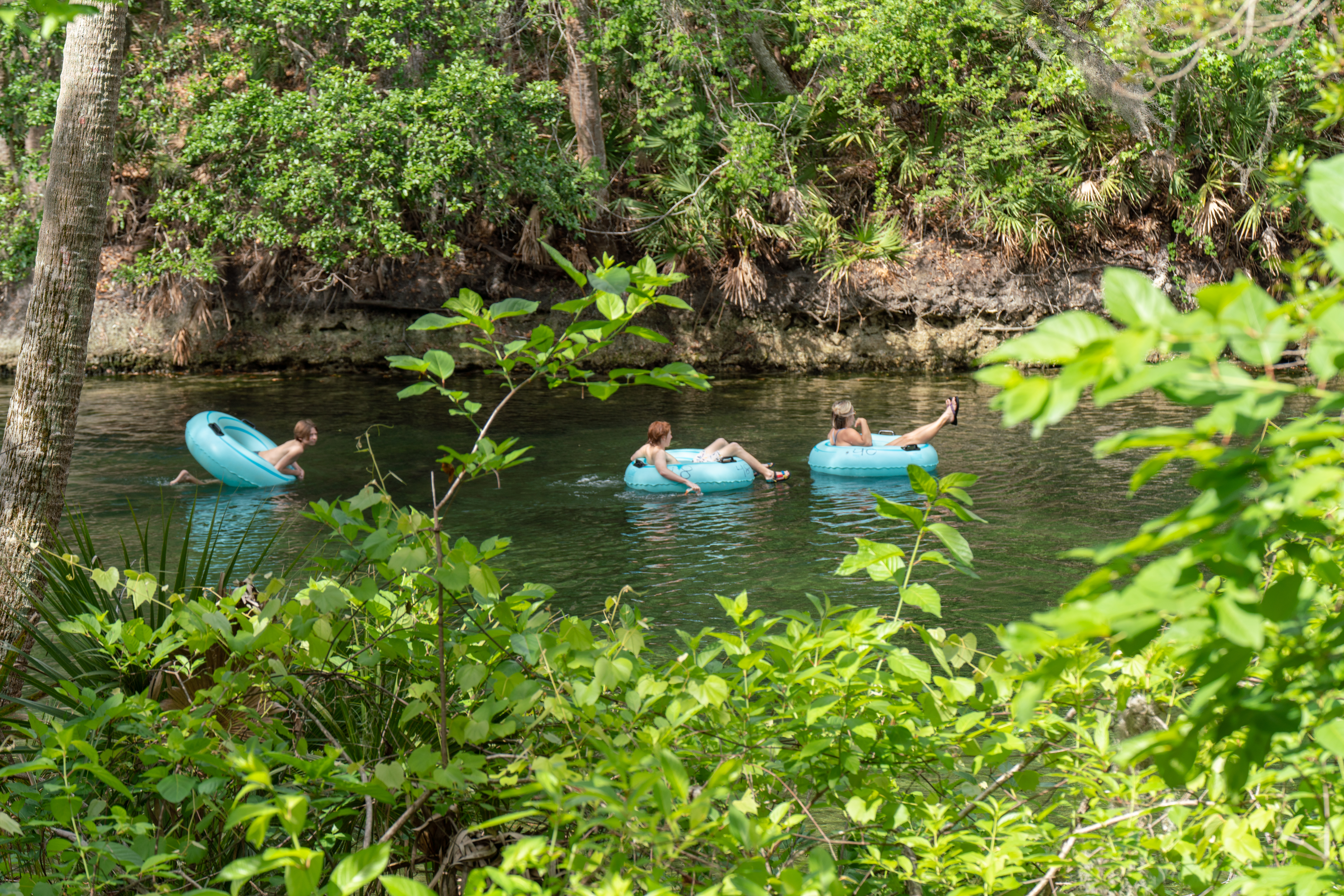 Blue Spring State Park