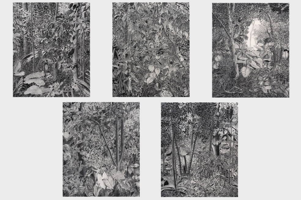 “La distancia necesaria” de Tomás Bermúdez frente al bosque (reseña)