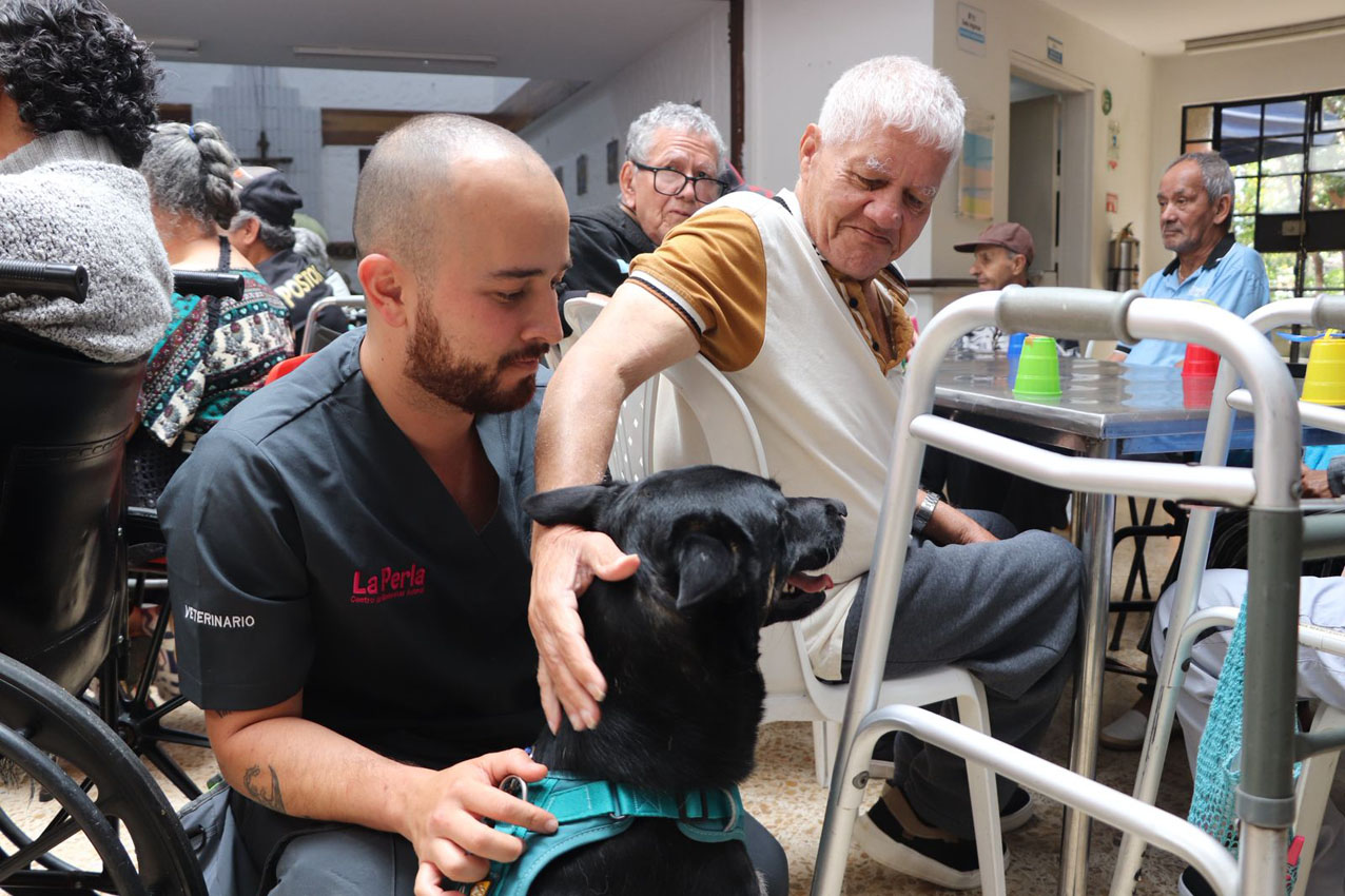 Perros rescatados transformaron la rutina de un hogar geriátrico en Medellín