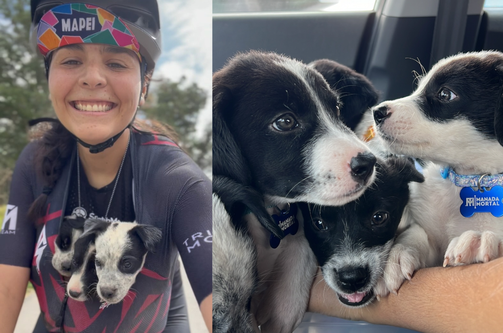 Ciclista rescata perritos en México