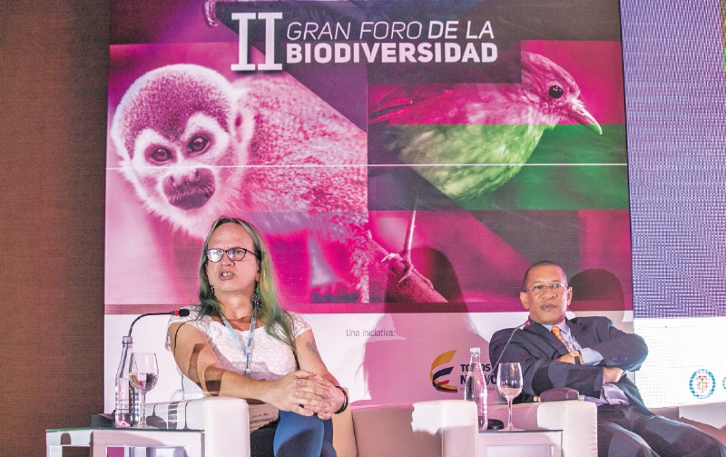 Los desafíos del país de la riqueza