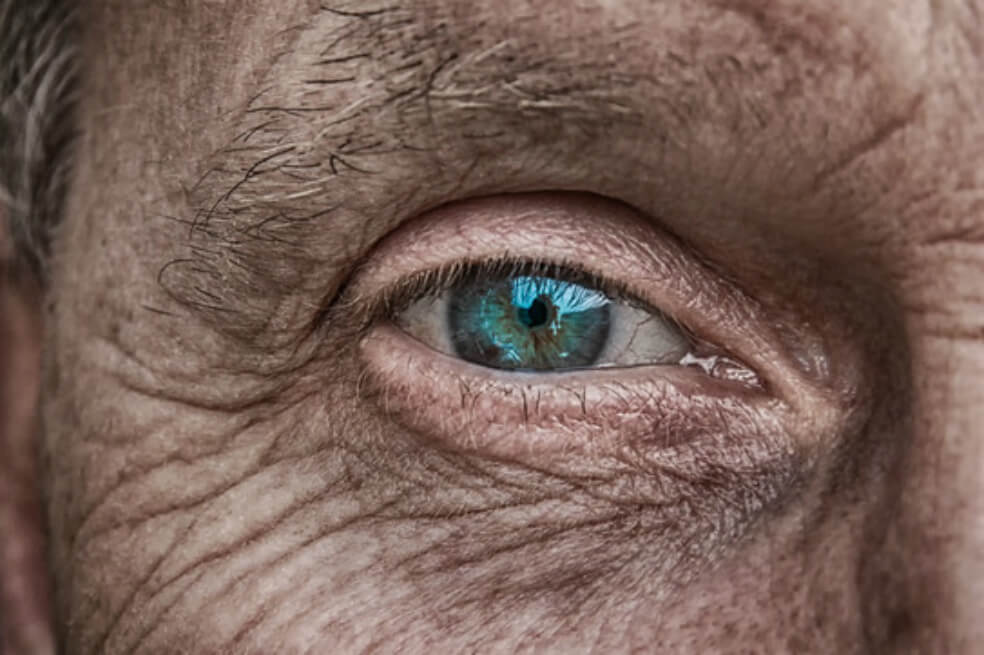 El cerebro humano genera nuevas neuronas hasta los 90 años