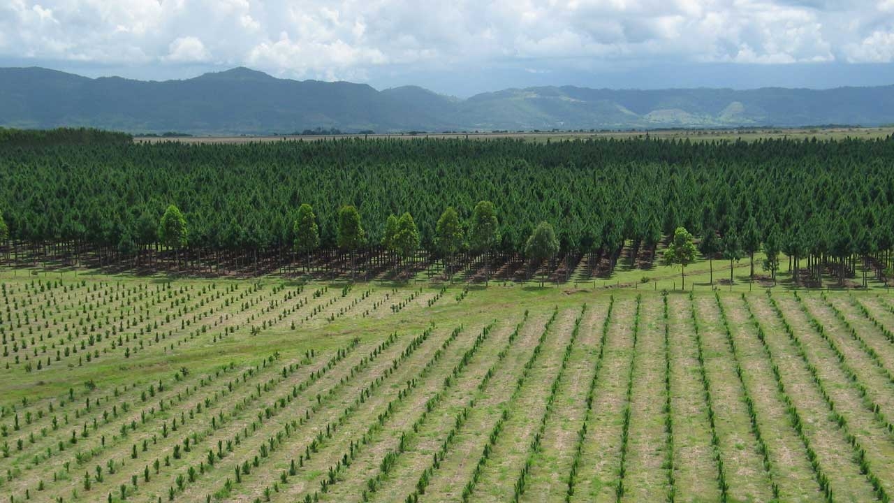 Campo Refocosta.