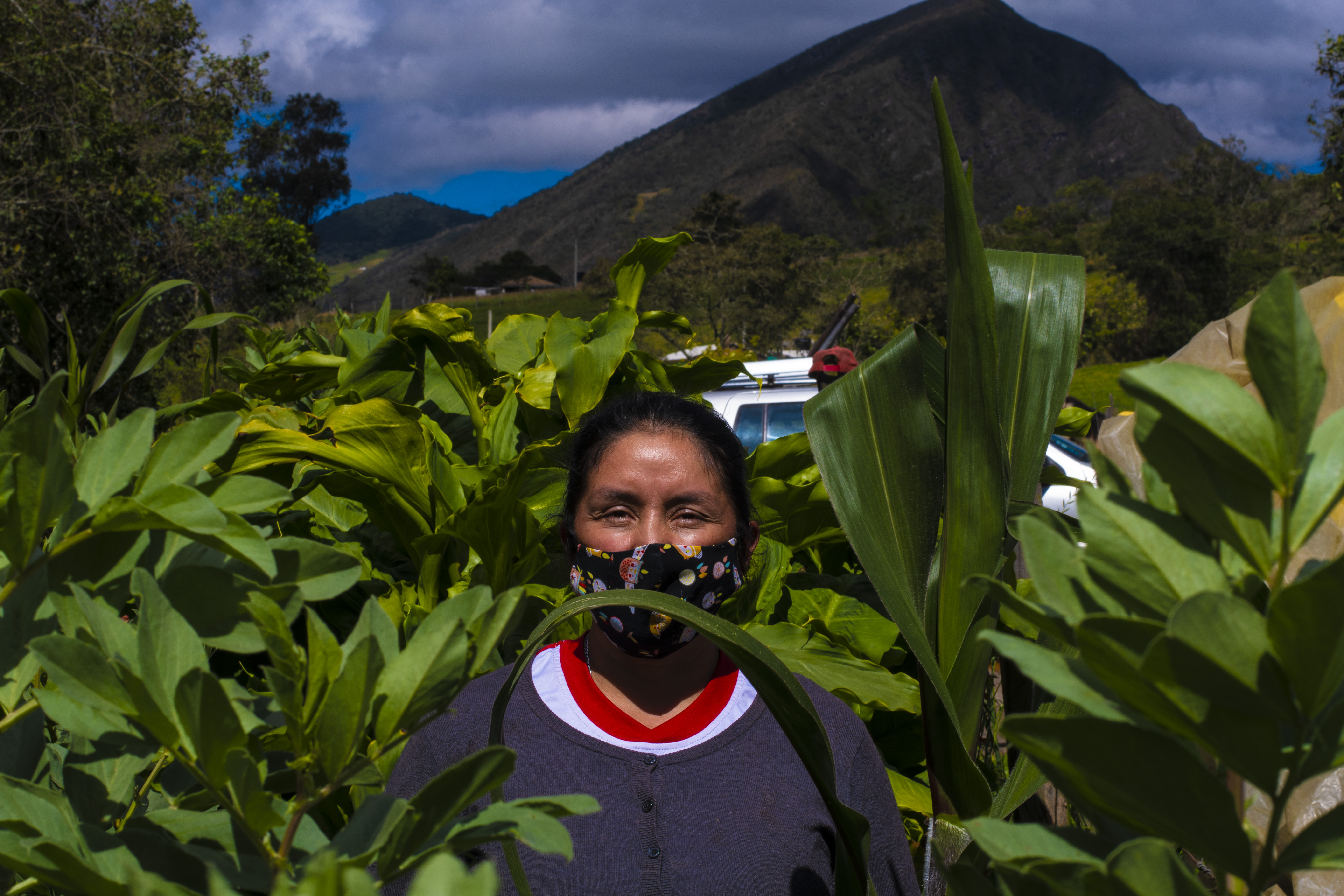 Los 1.443 proyectos de mujeres campesinas que recibirán apoyo