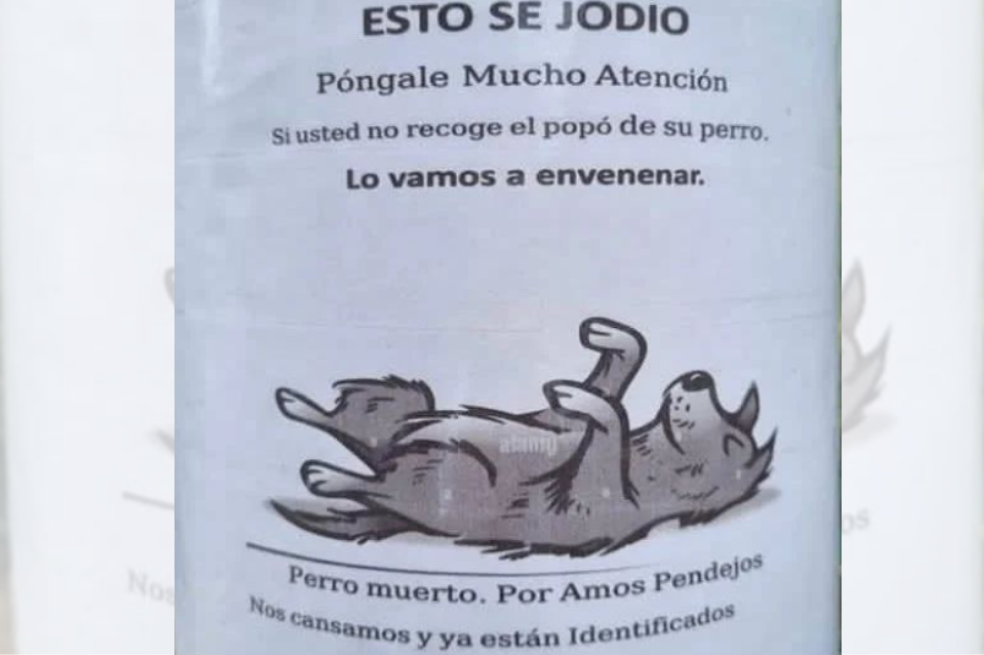 Alerta por carteles con amenazas contra perros en el sur de Armenia