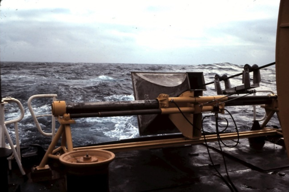 Habrían descubierto el origen de un extraño sonido en el mar de Nueva Zelanda