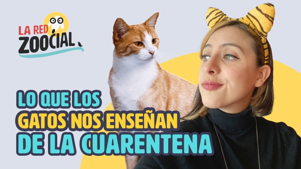 La Red Zoocial