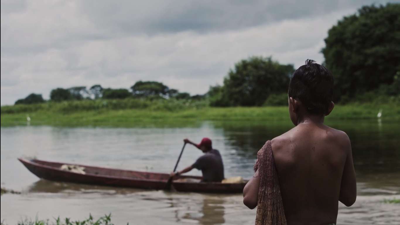 Réquiem por la Colombia Anfibia