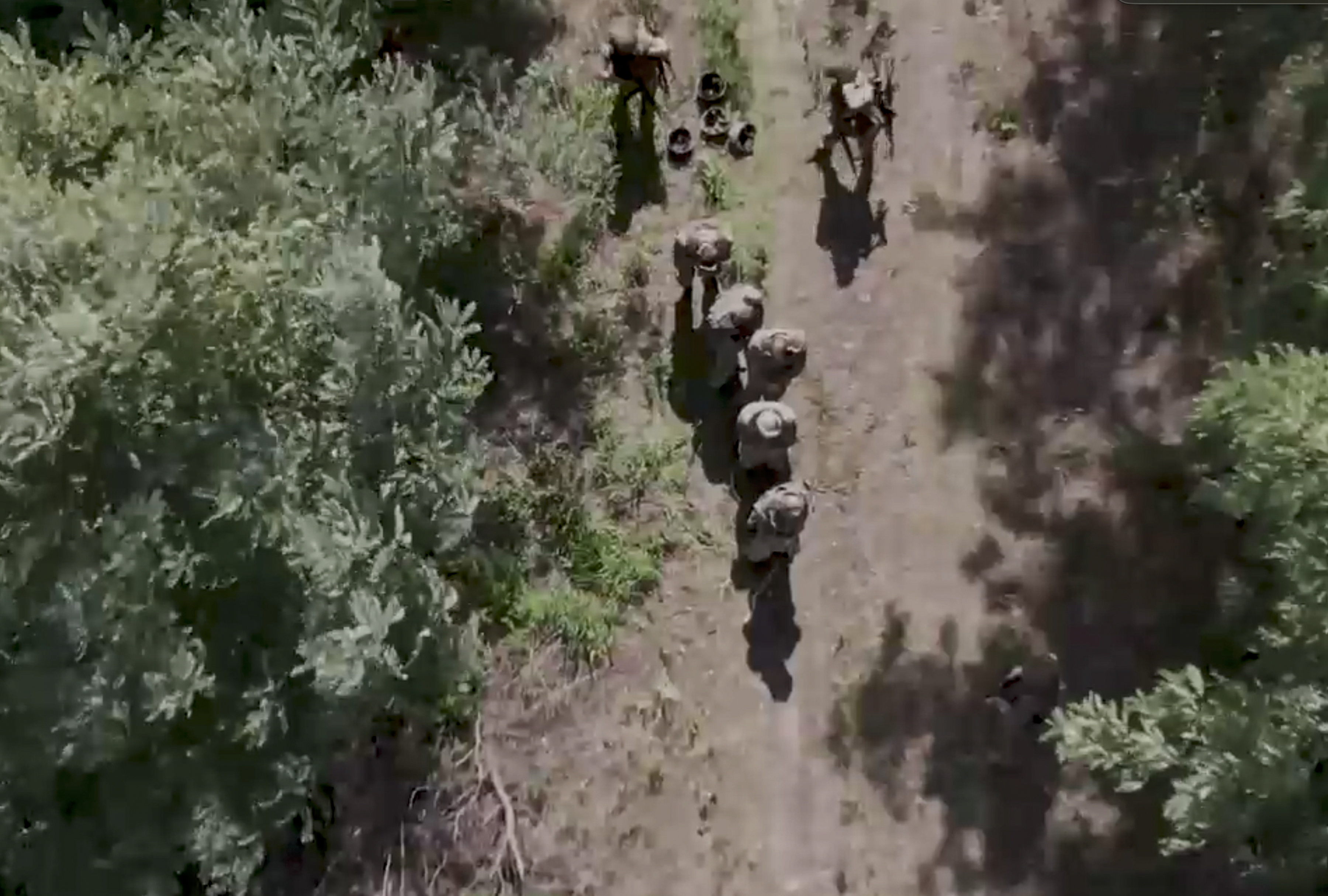 Undisclosed (Russian Federation), 14/08/2024.- A still image taken from handout video provided on 14 August 2024 by the Russian Defence Ministry shows Russian servicemen escorting Ukrainian prisoners of war at an undisclosed location in the Kursk region, Russia. Acting Governor of the Kursk Region Alexey Smirnov has stated that the situation in the region remains challenging, with the Ukrainian Armed Forces currently in control of 28 settlements, home to approximately 2,000 people. According to Smirnov, approximately 121,000 individuals have been evacuated from the Kursk region thus far. On August 14, Governor of Belgorod Vyacheslav Gladkov announced a state of emergency in response to Ukrainian drone attacks and shelling, marking the second week of Ukraine's incursion into Russian territory. (Rusia, Ucrania) EFE/EPA/RUSSIAN DEFENCE MINISTRY HANDOUT HANDOUT EDITORIAL USE ONLY/NO SALESHANDOUT EDITORIAL USE ONLY/NO SALES