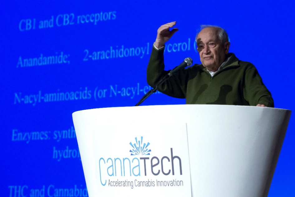 Inicia CannaTech, la primera cumbre en Israel sobre uso médico del cannabis