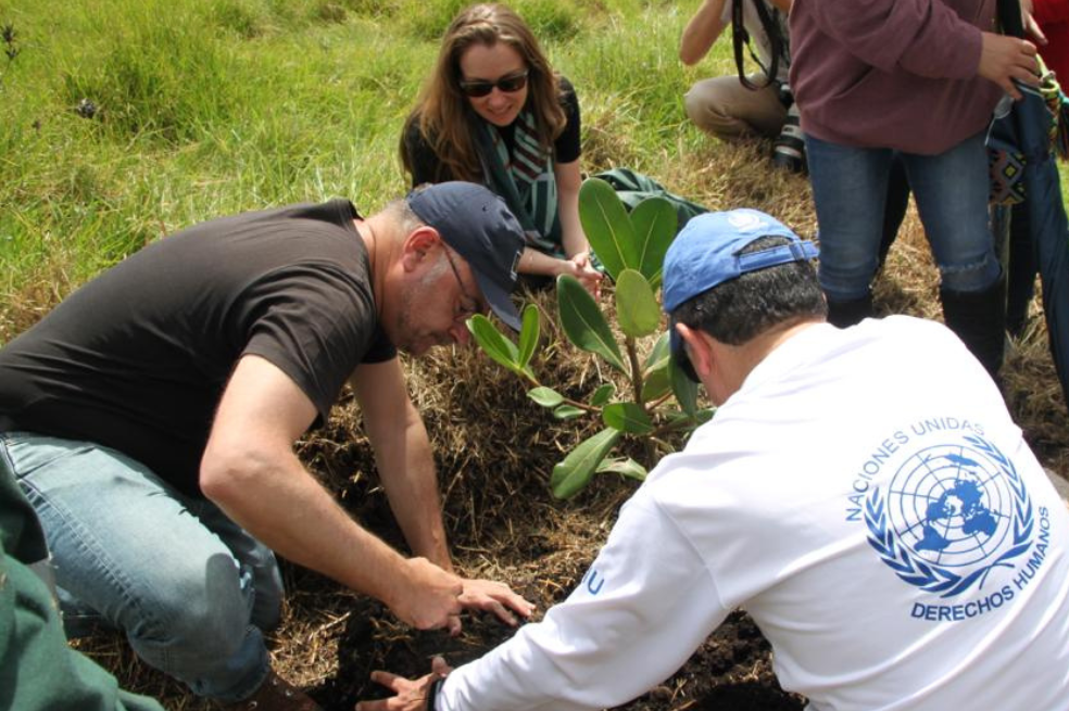 ONU DD.HH. y Jardín Botánico inauguraron Bosque de los Derechos Humanos en Bogotá