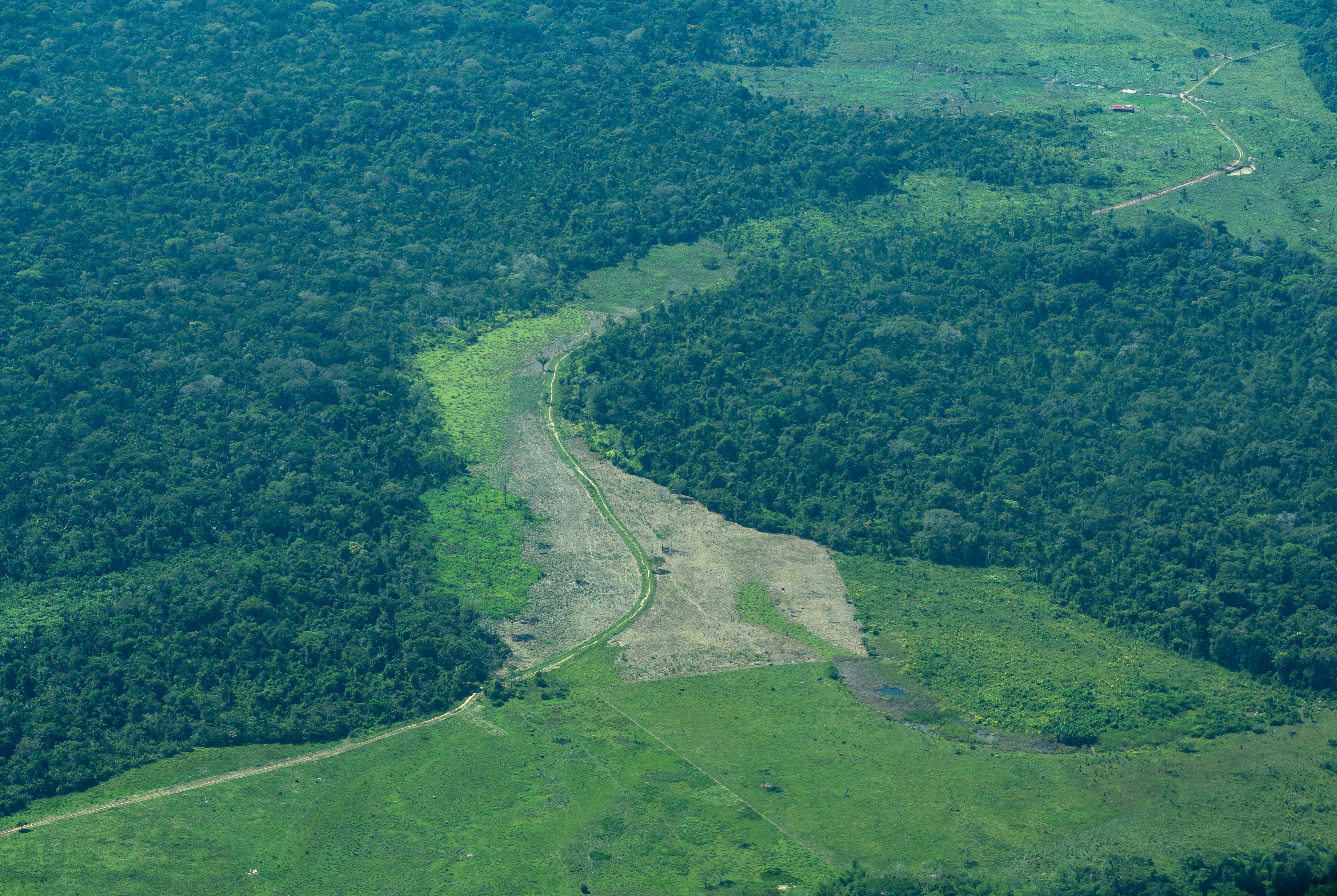 Aquí tiene una buena razón para volcarse a proteger la Amazonia colombiana
