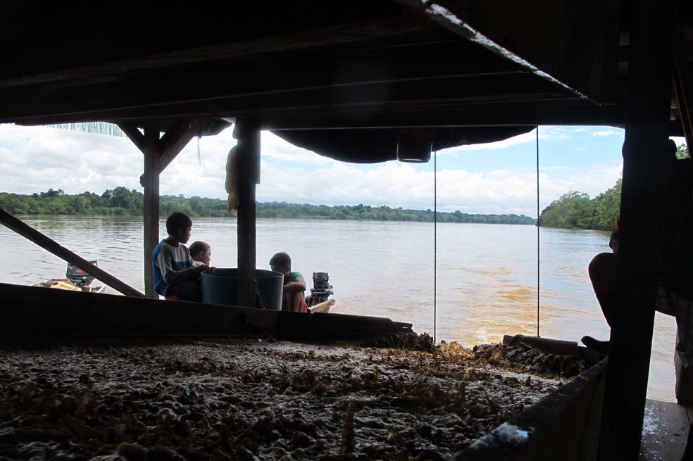 Oro, la última bonanza en el Amazonas