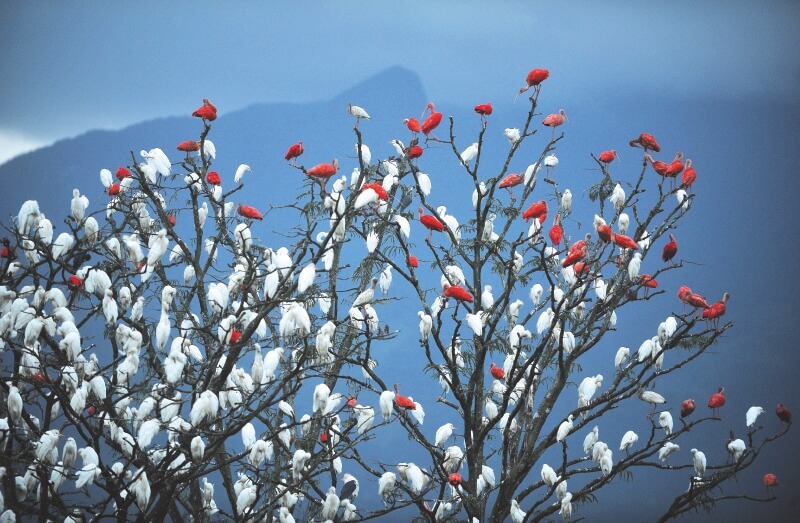 El amor que la naturaleza reclama