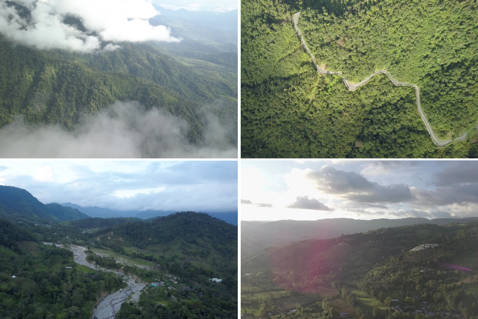 El yacimiento de cobre que busca explotar Libero Copper & Gold está ubicado en un área de bosques donde se encuentran las selvas de la Amazonia con los Andes.