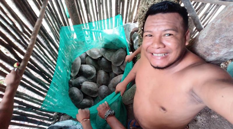 Jimmy Sáenz junto al costalado de tortugas.