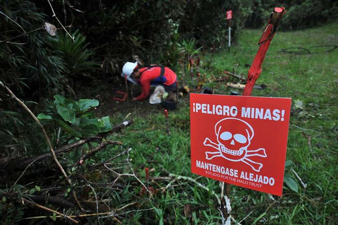 Certifican a 24 excombatientes de las Farc para iniciar labores de desminado