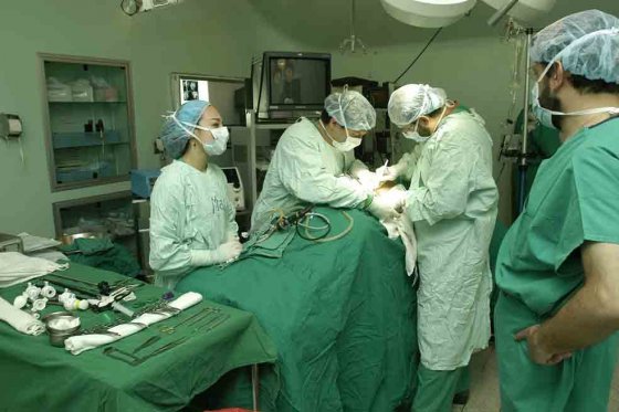 Por ley todos los colombianos ahora son potenciales donantes de órganos
