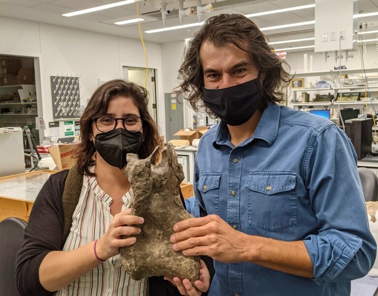 La fascinante historia de cómo descubrieron una nueva especie de dinosaurio en Colombia