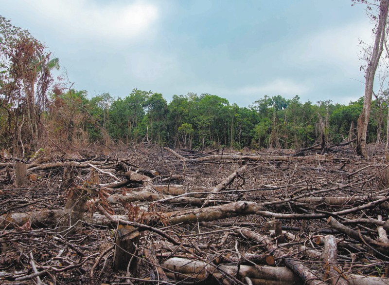 La empresa que buscará beneficiar a 148 familias en el Amazonas