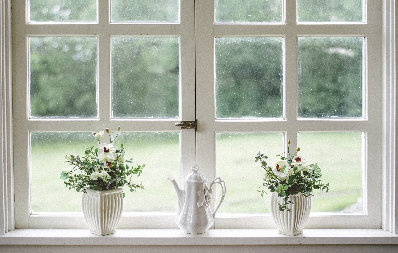 La ventana (Cuentos de sábado en la tarde)