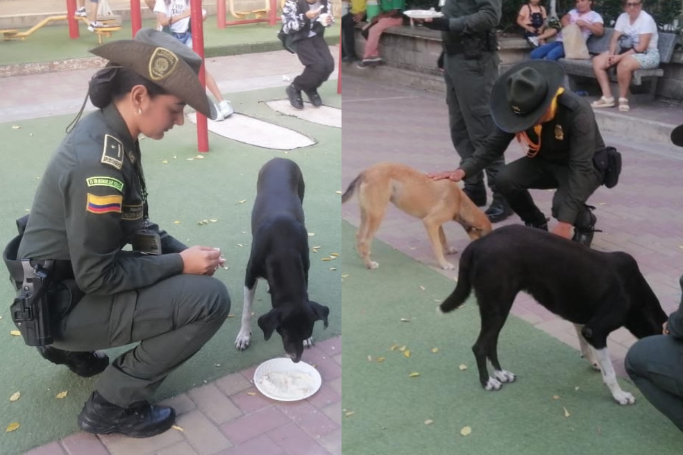Feliz Navidad: Policía realiza cena navideña para perros abandonados en Atlántico