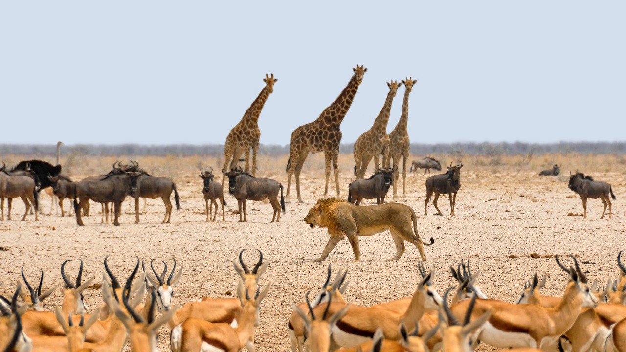 5 lugares imperdibles de Namibia