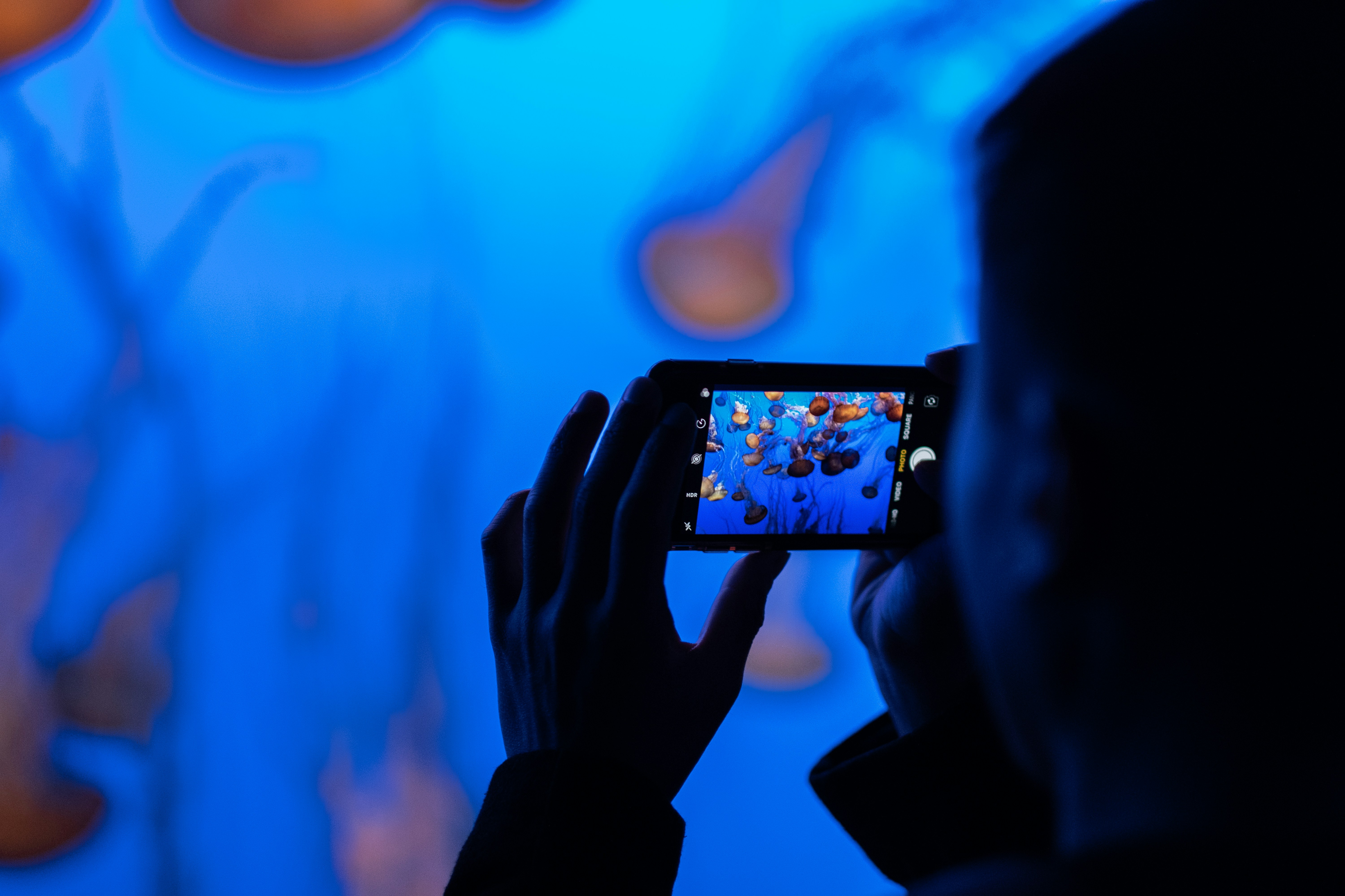 Los mejores celulares gama media 2024 con buena cámara