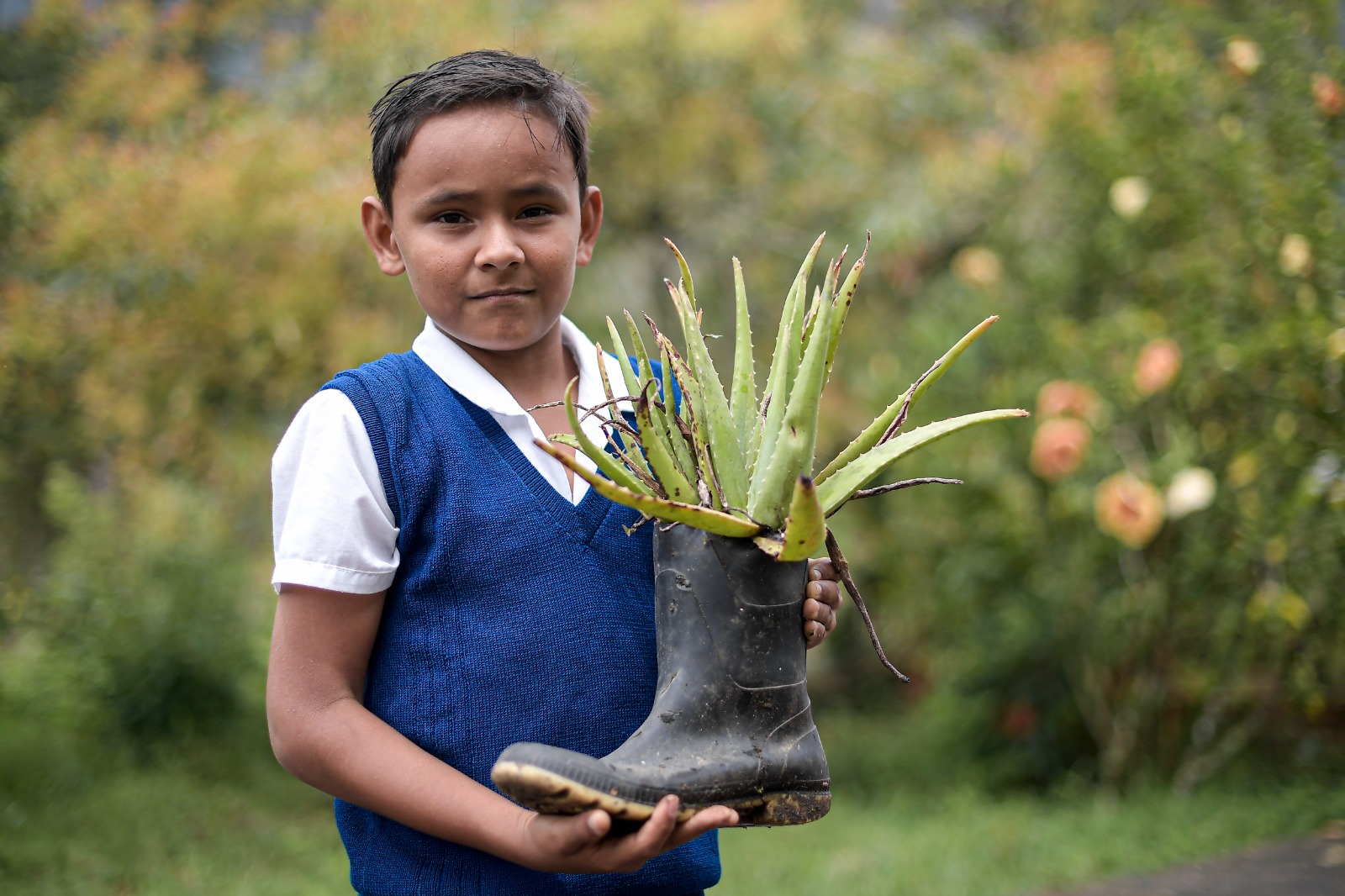 Los niños cultivan fríjol, maíz, cubios, nabos, café, platano, savila, árboles florales y medicinales.