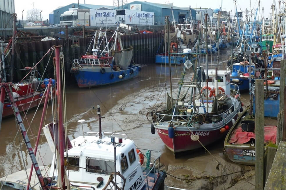 Pescadores en el mundo aumentan mientras sus capturas caen por disminución de peces