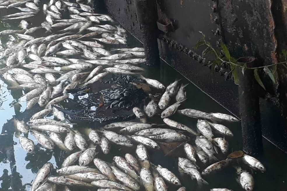 La pelea entre una ciudadana y Ecopetrol por emergencia ambiental en Barrancabermeja
