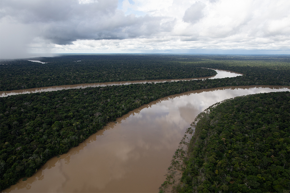 Hallan posibles rastros de periodista e indigenista desaparecidos en Brasil