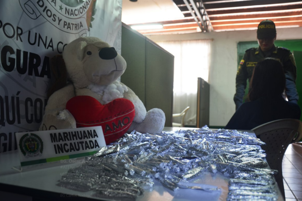 El “narcopeluche”: un oso de felpa con más de 500 cigarrillos de marihuana adentro